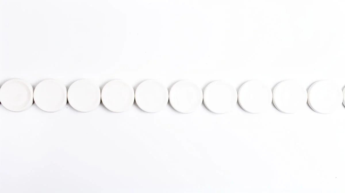 A neat row of plain white ceramic discs evenly spaced on a white surface