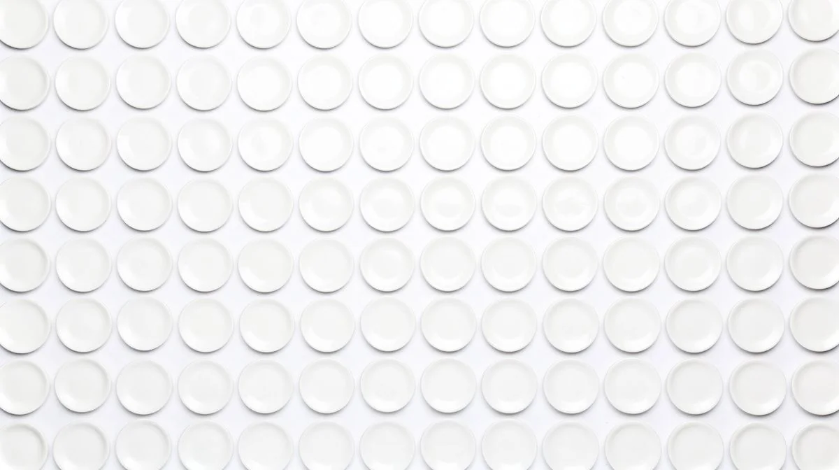 A neat grid of identical plain white ceramic discs on a white surface