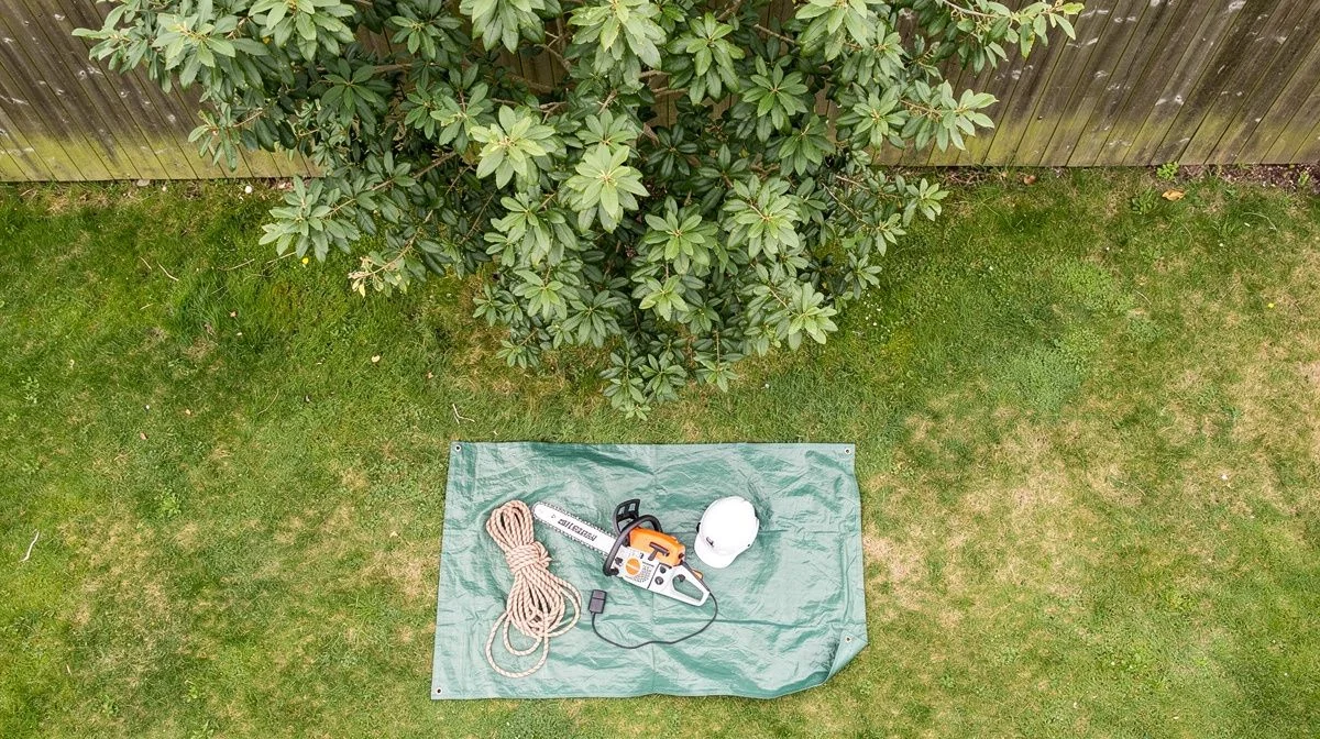 Tree work gear laid out on a tarpaulin beside a large suburban tree