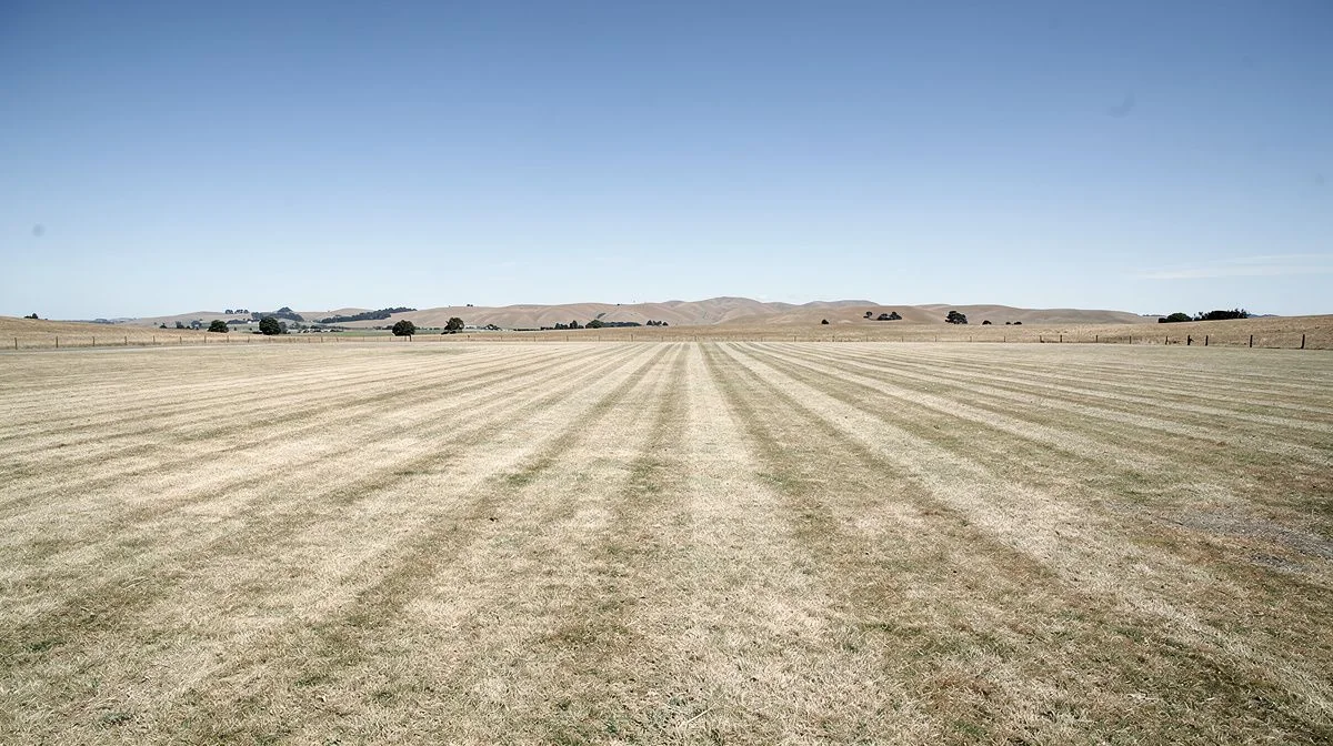 Large sun-bleached mown lawn on a dry Wairarapa section under a wide open sky
