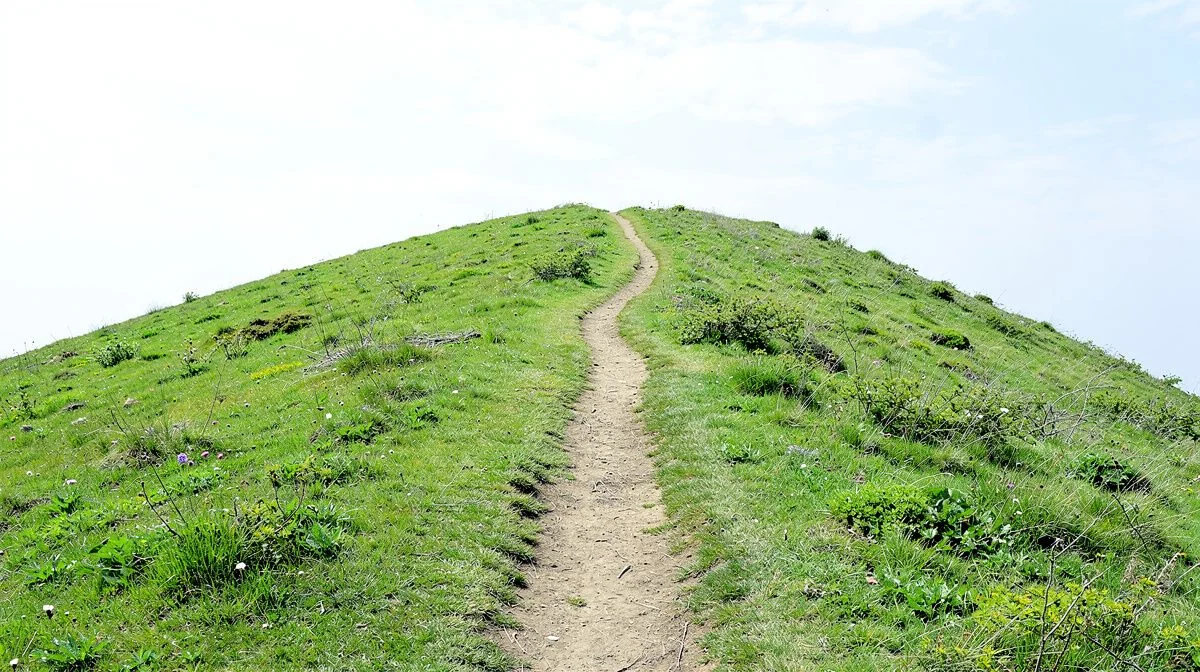a narrow path winding up a green hillside under a bright even sky