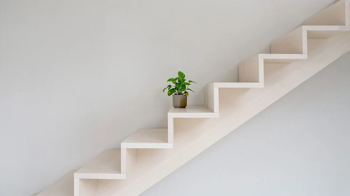 Pale wooden steps rising across a frame with a small plant on one step