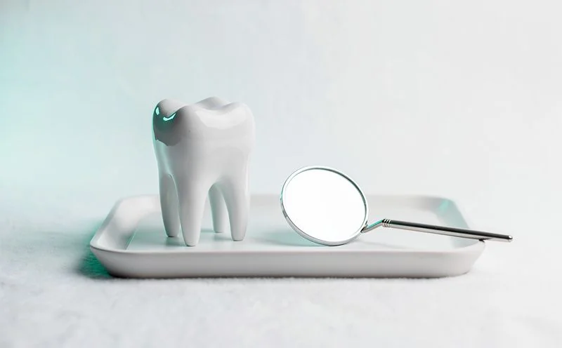 A white ceramic model of a tooth beside a small round mirror on a pale tray
